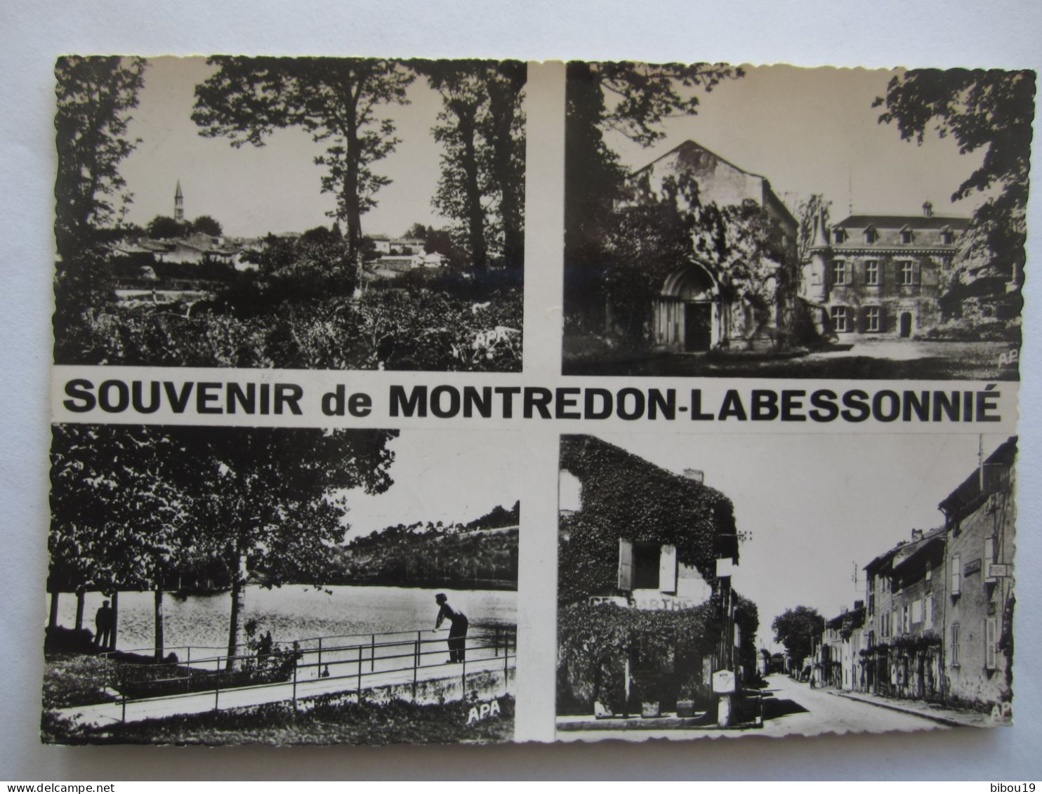 SOUVENIR DE MONTREDON LABESSONNIE  MULTIVUES - Montredon Labessonie