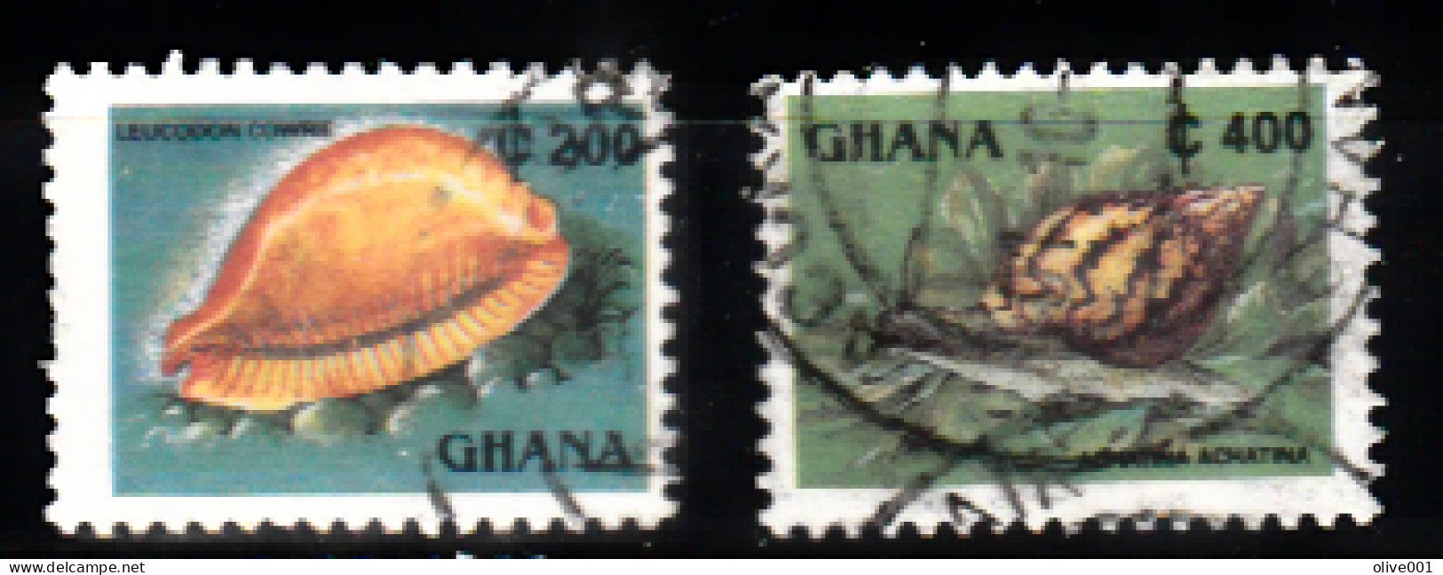 Ghana - Série Courante - Faune - Coquillage - Shells - Leucodon Cowrie - Achatina Achatina - Tp Oblitéré - Ghana (1957-...)