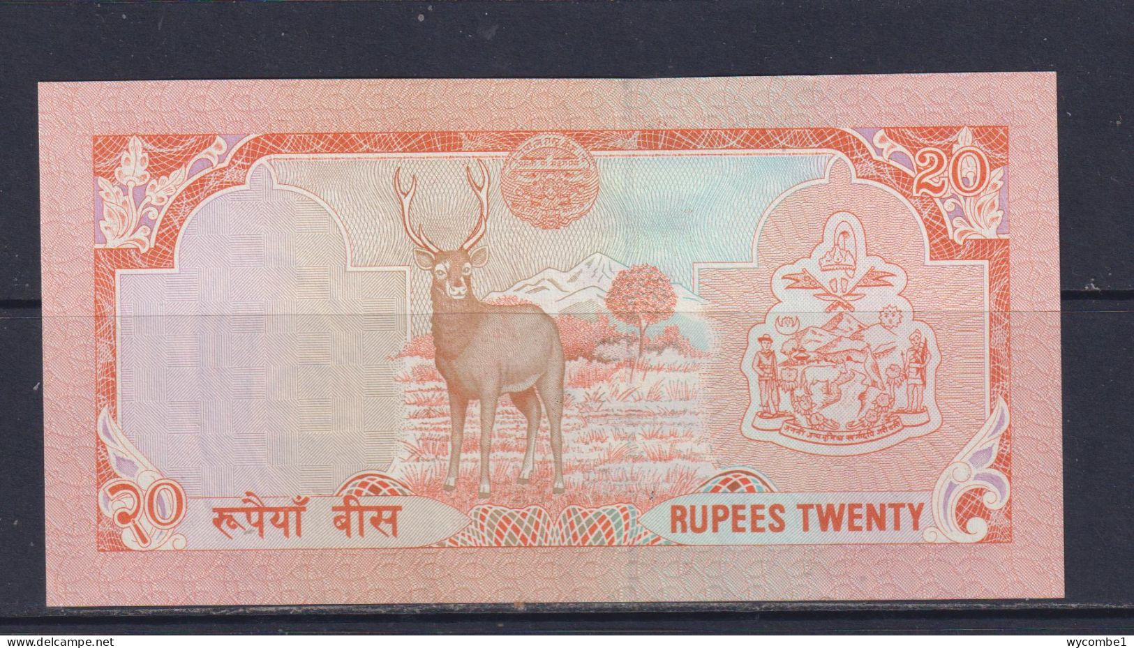 NEPAL  - 1995-2000 20 Rupees UNC/aUNC Banknote As Scans - Nepal