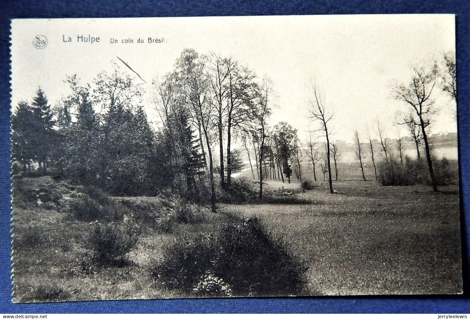 LA HULPE  -  Un Coin Du Brésil - La Hulpe