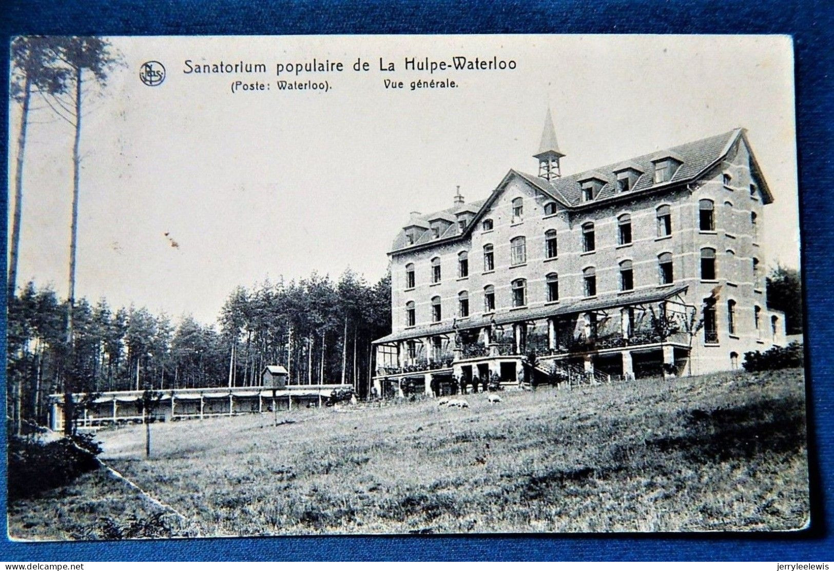 LA HULPE  -  Sanatorium Populaire De La Hulpe-Waterloo  - Vue Générale - La Hulpe