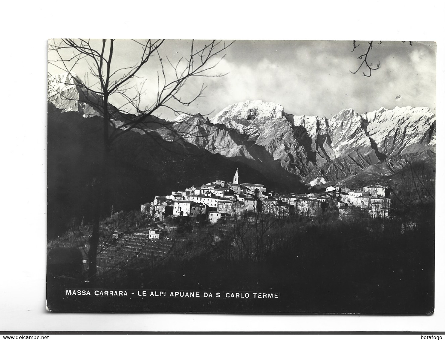 CPM  PHOTO  MASSA CARRARA (voir Timbre) - Carrara