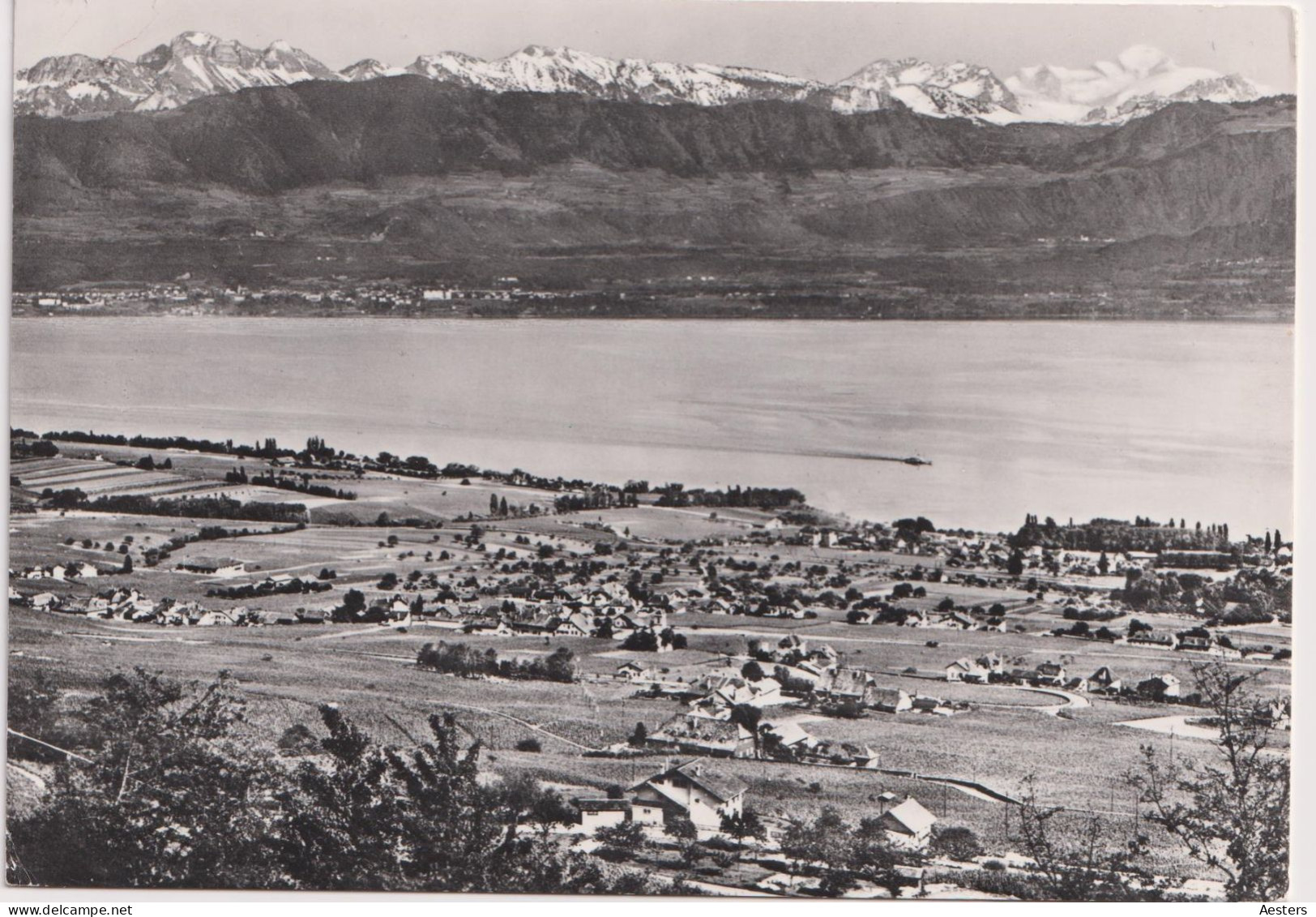 Mont-sur-Rolle 1970; Panorama - Voyagé. (10x15!) - Mont-sur-Rolle 