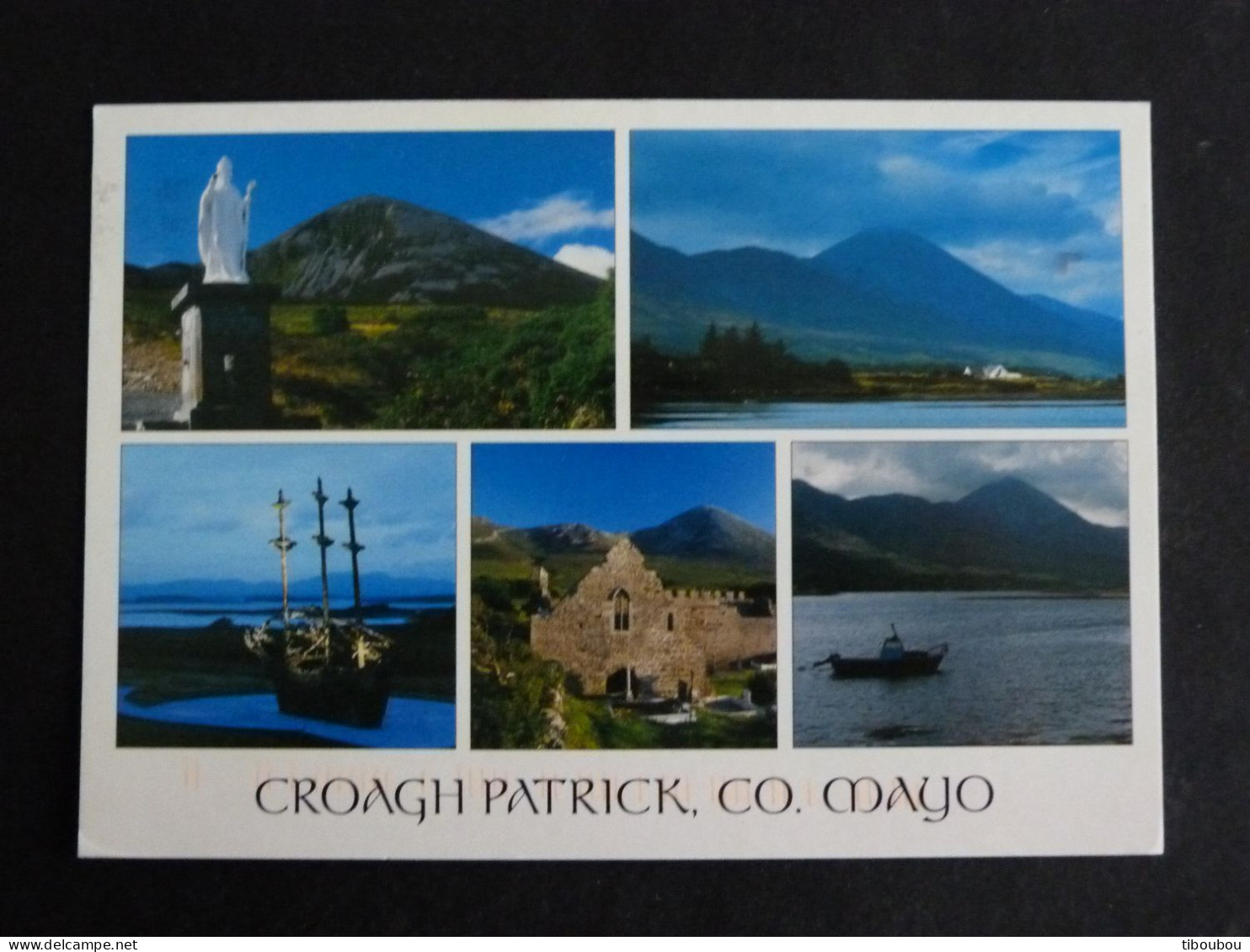 IRLANDE IRELAND EIRE AVEC YT 1819 ASTER MARITIME FLORE FLEUR FLOWER BLUME - CROAGH PATRICK CO. MAYO - Cartas & Documentos