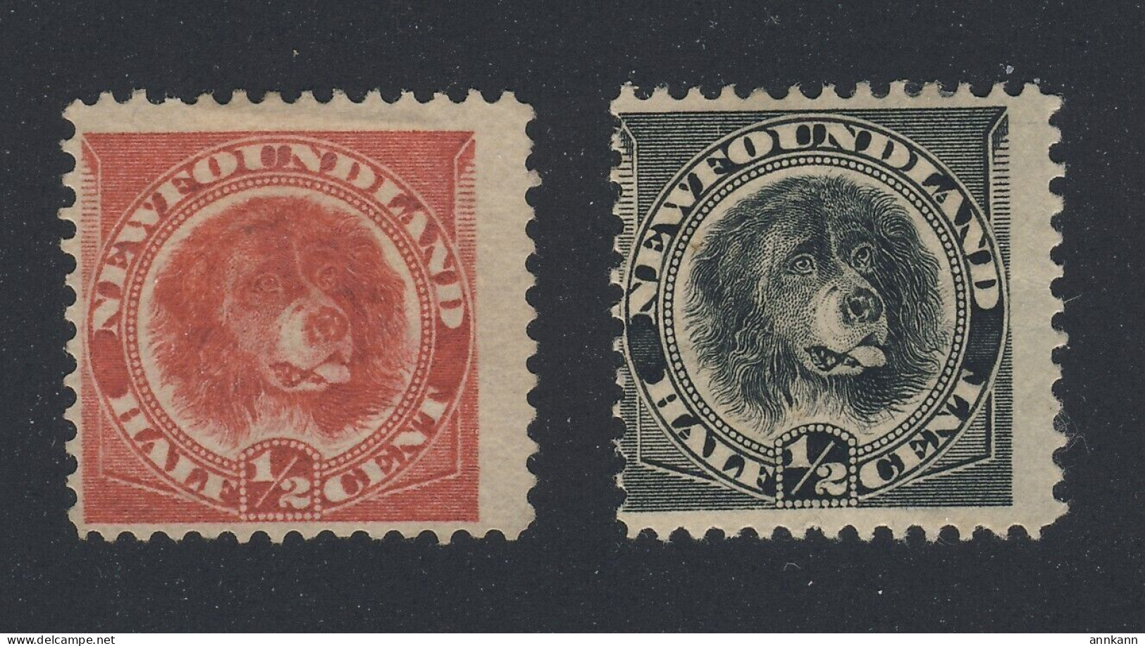 2x Newfoundland Dog Stamps; #56-1/2c F/VF & #58-1/2c F Guide Value = $25.00 - 1857-1861