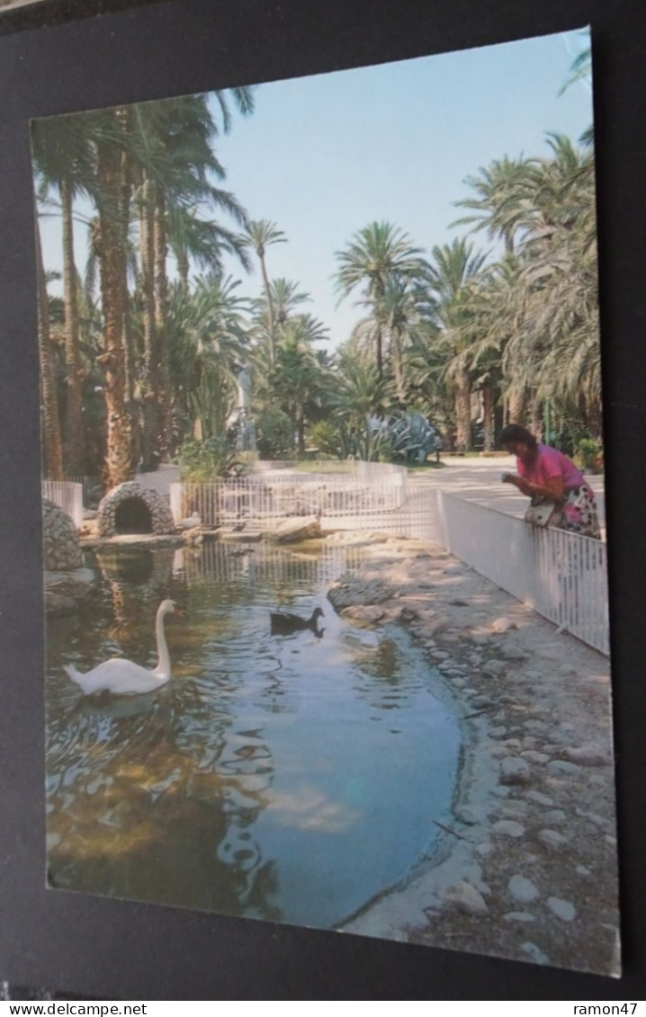 Elche, Alicante - Parque Municipal - Ediciones Arribas, Zaragoza - # 107 - Alicante