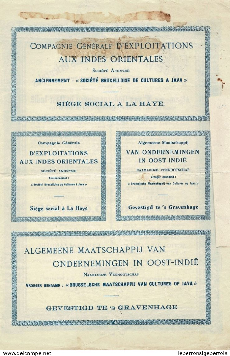 Titre De 1924 - Cie D'Exploitations Aux Indes Orientales - Anciennement Sté Bruxelloise De Cultures à Java - - Asie