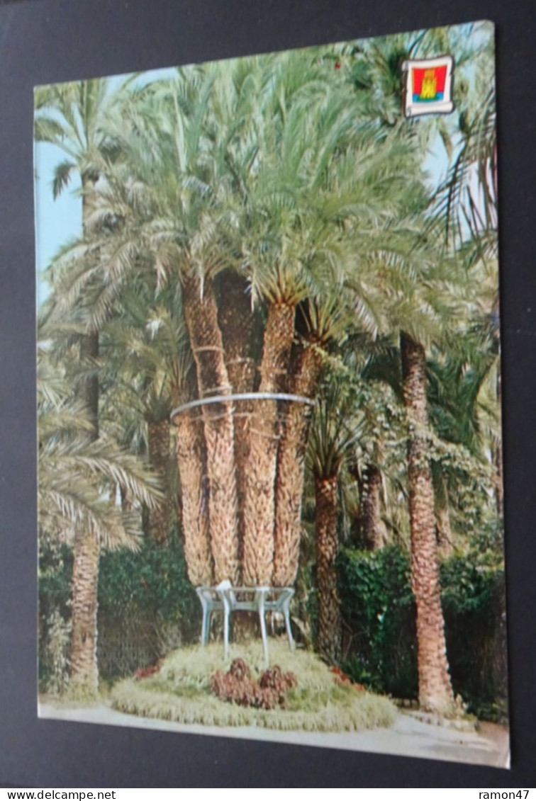 Elche - Huerto Del Cura - Palmera Imperial - Postales J. Ant. Pascual - # 132 - Alicante