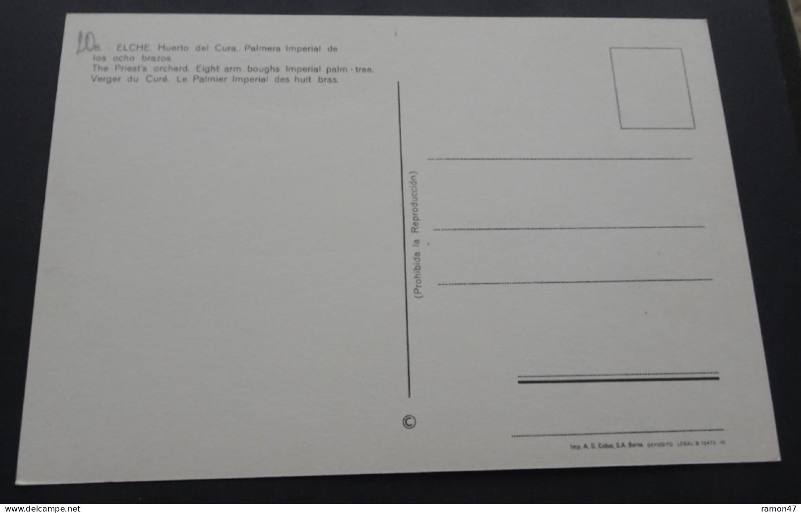 Elche - Huerto Del Cura.  Palmera Imperial De Los Ocho Brazos - Imp. A.G. Cobas, Barna - # 8 - Alicante