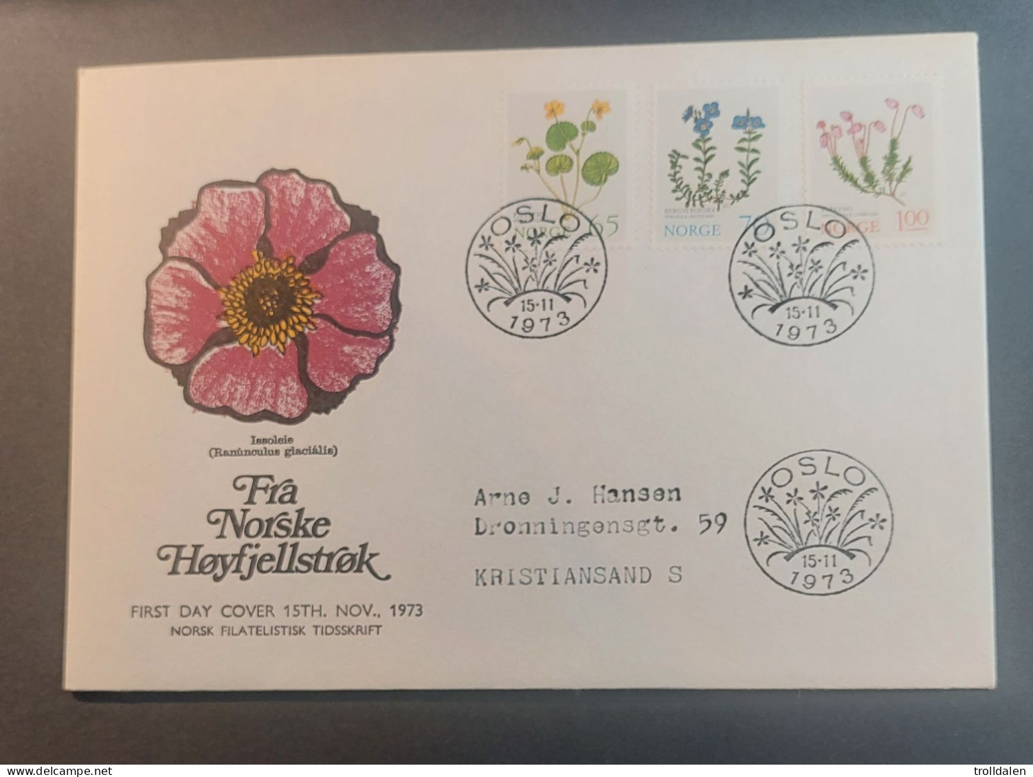 Norway  FDC 1973 - FDC