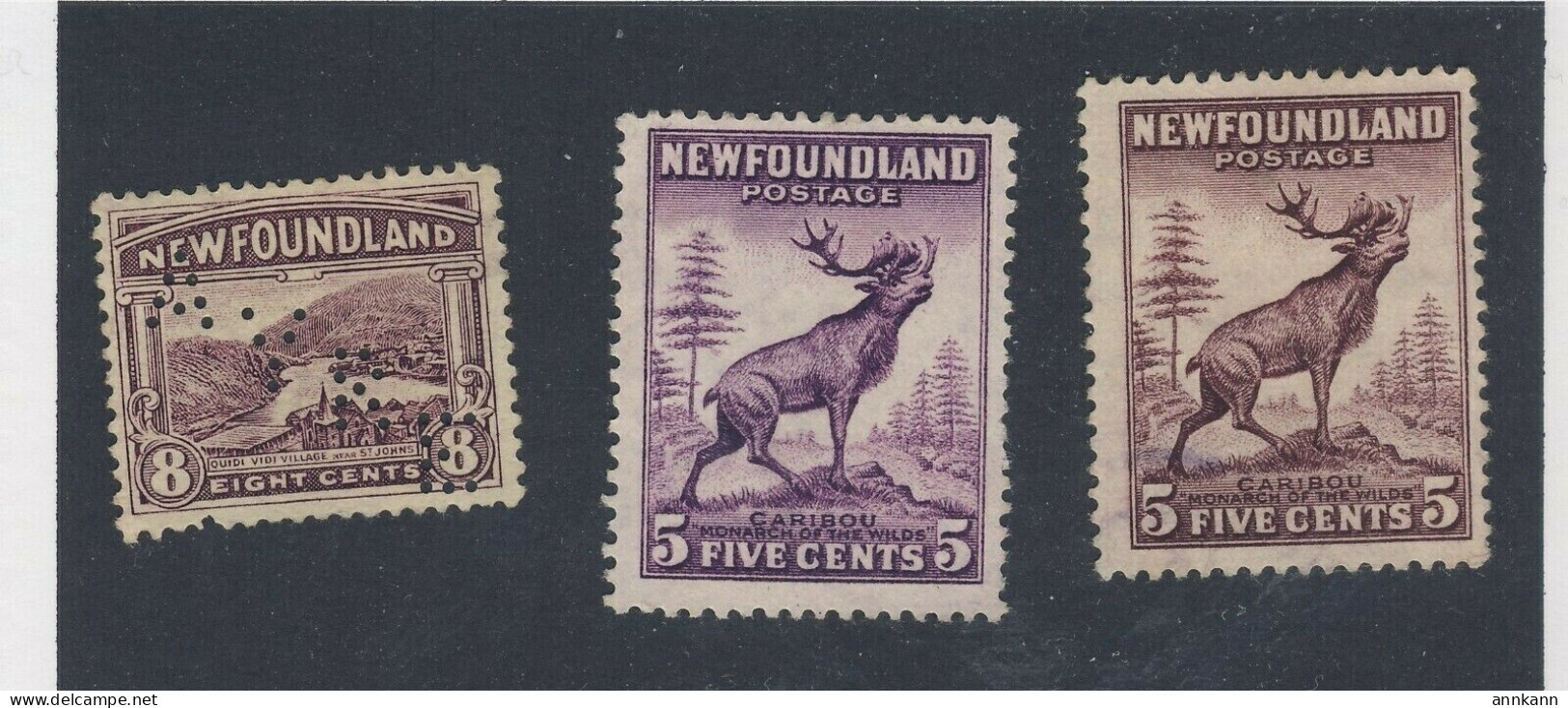 3x Newfoundland Stamps #137 -8c Perf-in #190 -5c VF #191 -5c VF All Mint No Gum - 1857-1861