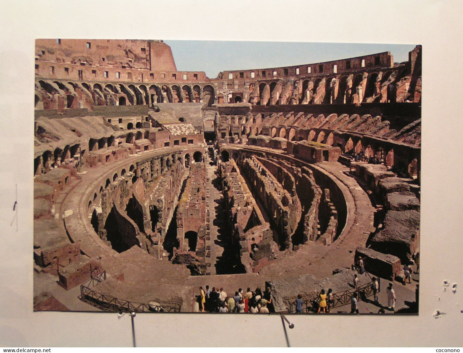 Roma (Rome) - Il Colosseo - Coliseo