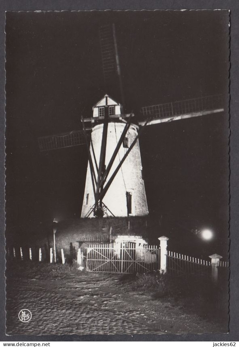 118993/ DAMME, De Molen Verlicht - Damme