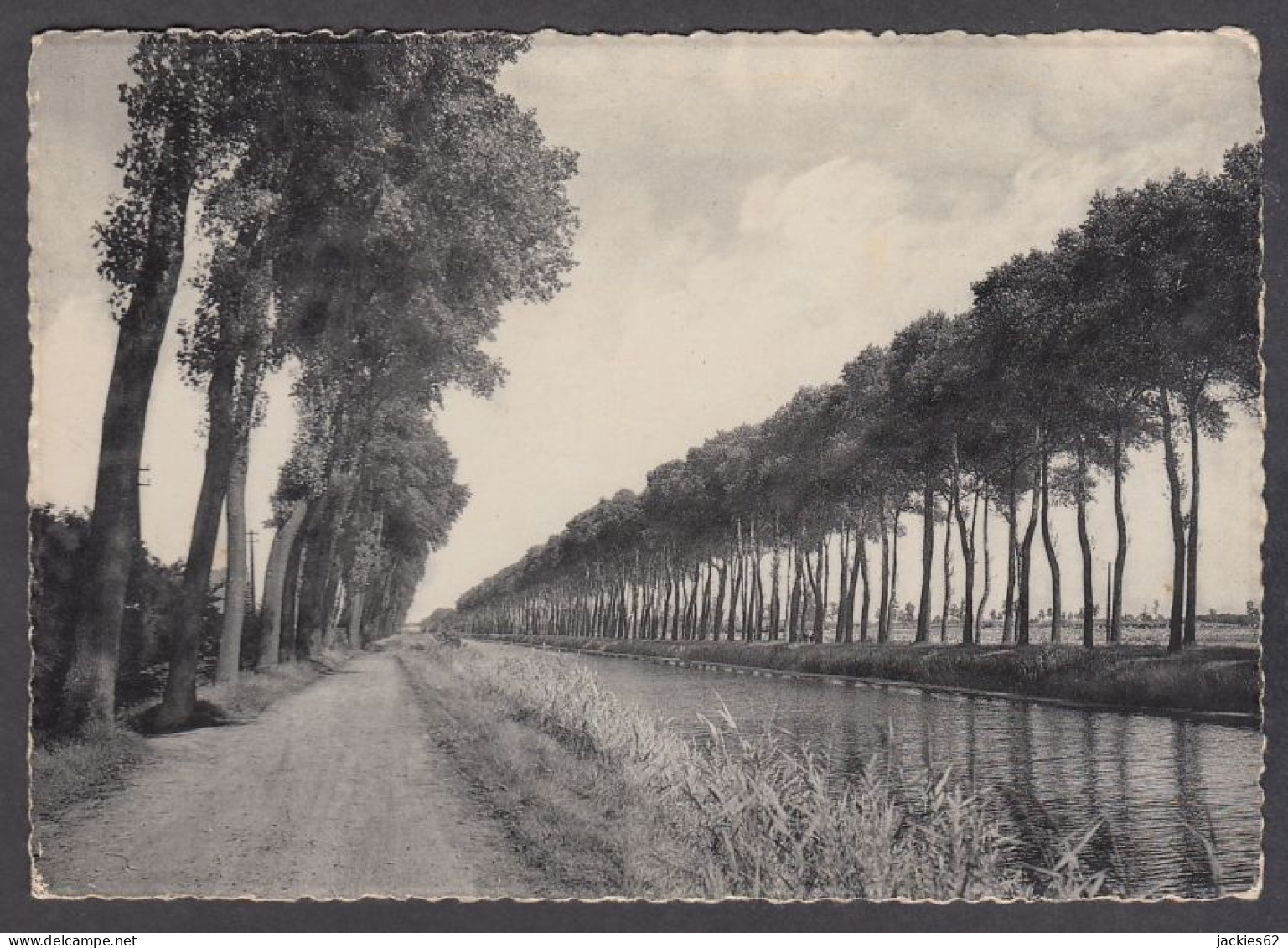 118989/ DAMME, Kanaal Van Brugge Naar Sluis - Damme