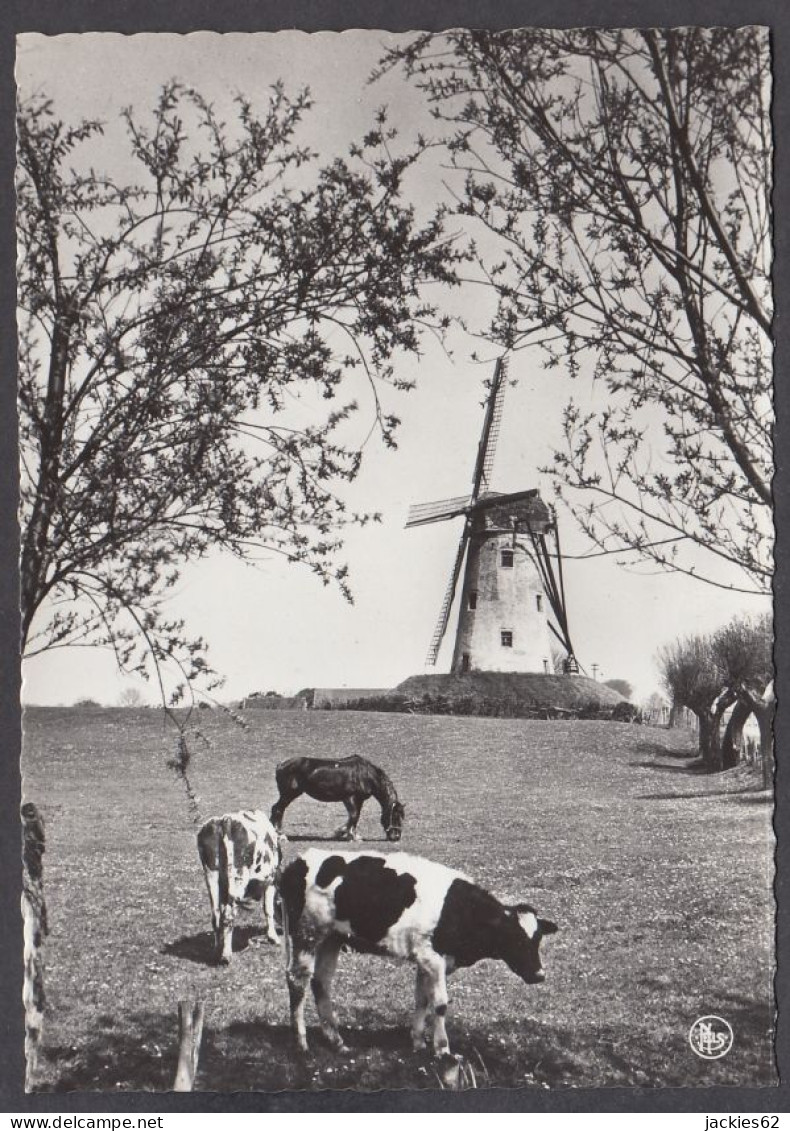 118991/ DAMME, De Molen - Damme