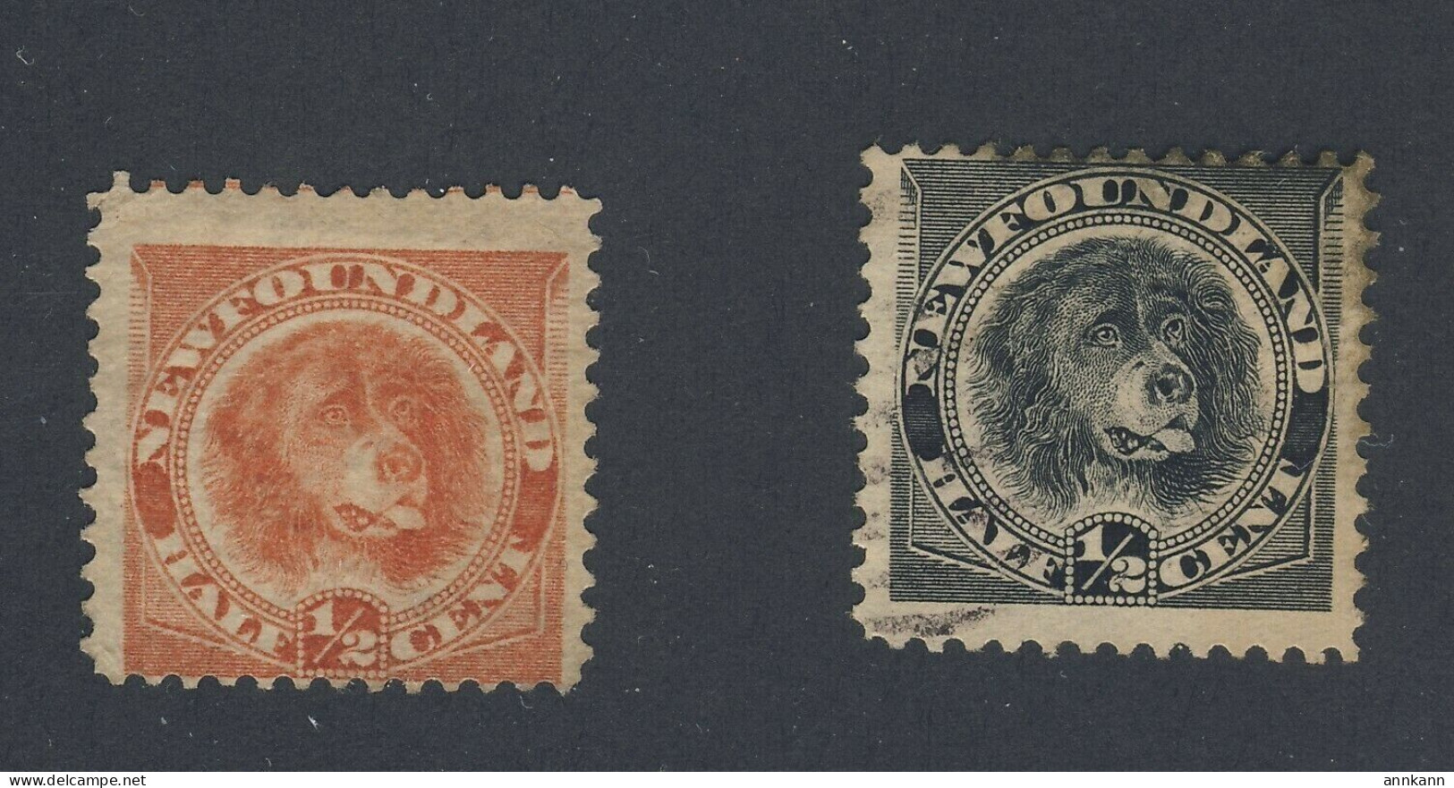 2x Newfoundland Dog 1/2c Stamps #57-Fine MNG #58-Fine MH Guide Value = $68.00 - 1857-1861