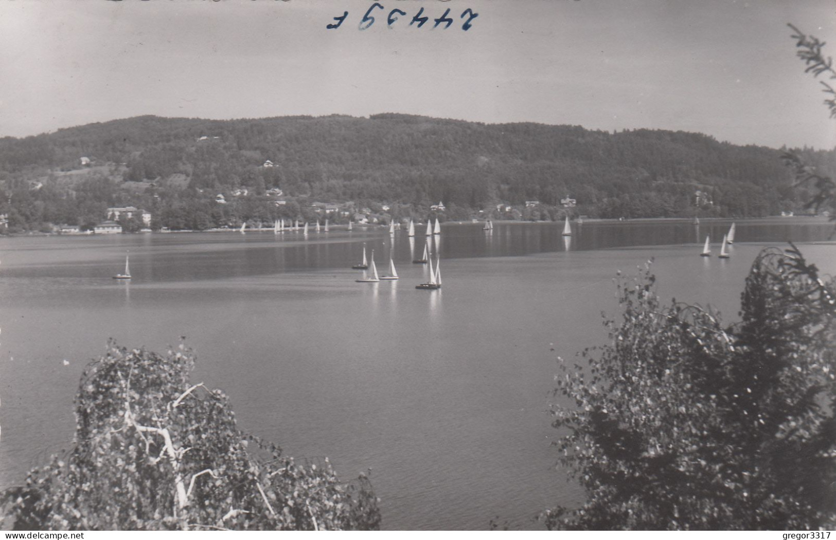 E3797) WÖRTHERSEE - Kärnten - Schöne Alte FOTO AK Mit Vielen Segelbooten S/W ALT - Velden