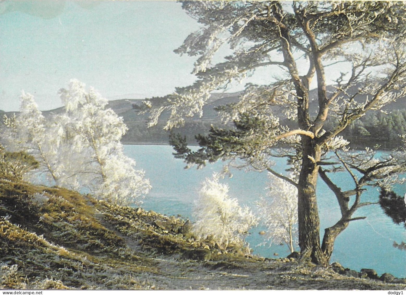 LOCH-AN-EILEAN, INVERNESS-SHIRE, SCOTLAND. UNUSED POSTCARD   Tg9 - Inverness-shire