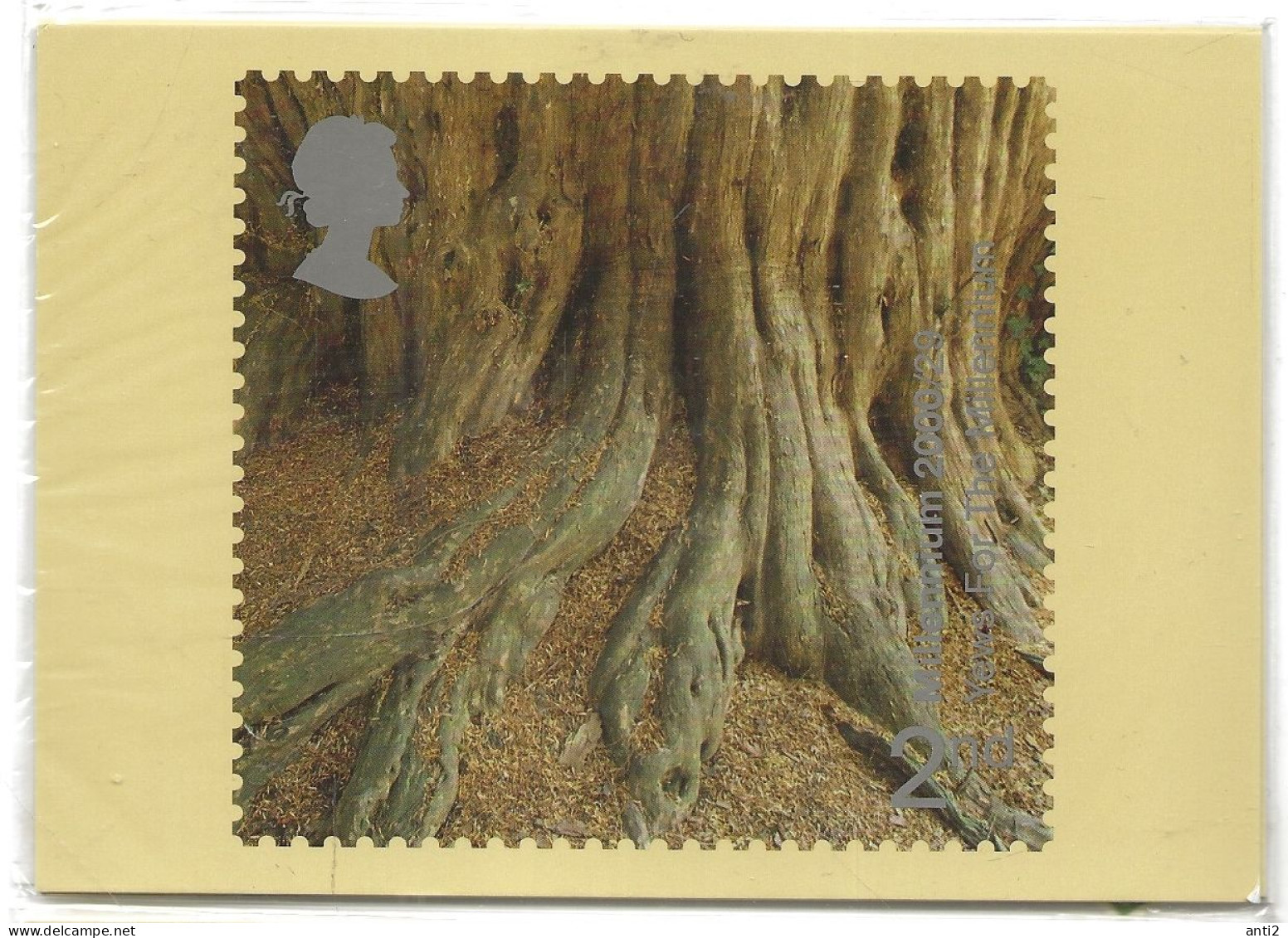 Great Britain  2000 Turn Of The Millennium (XXIII): Tree And Leaves, Mi 1881-1884 Unused  Maximum Cards No Stamps - Carte Massime