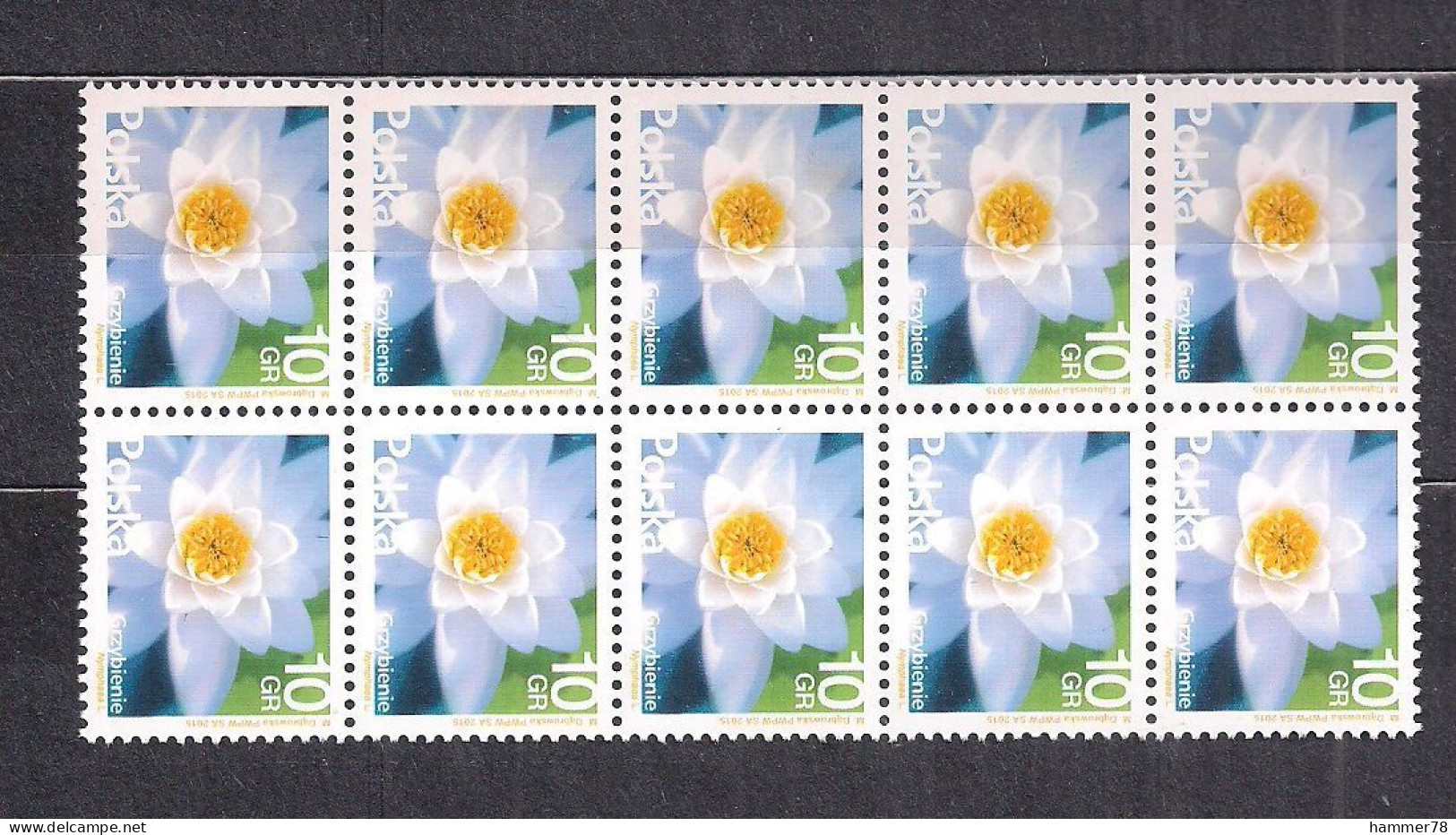 POLAND 2015 FLOWERS 10 GROSZY BLOCK Of 10 MNH - Unused Stamps