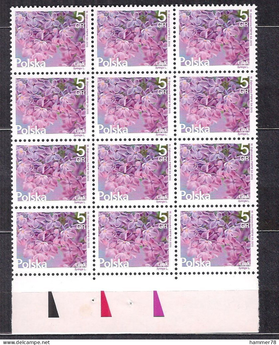 POLAND 2015 FLOWERS 5 GROSZY BLOCK Of 12 MNH - Unused Stamps