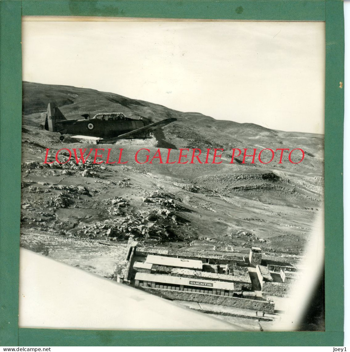 Photos D'avion T6 De L Armée Française En Algérie Au Dessus De Guentis, Dimensions 20/20 Encadrée - Aviation