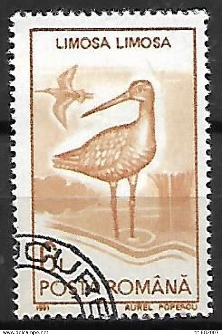 ROUMANIE      -      ECHASSIER      -     Oblitéré - Storks & Long-legged Wading Birds