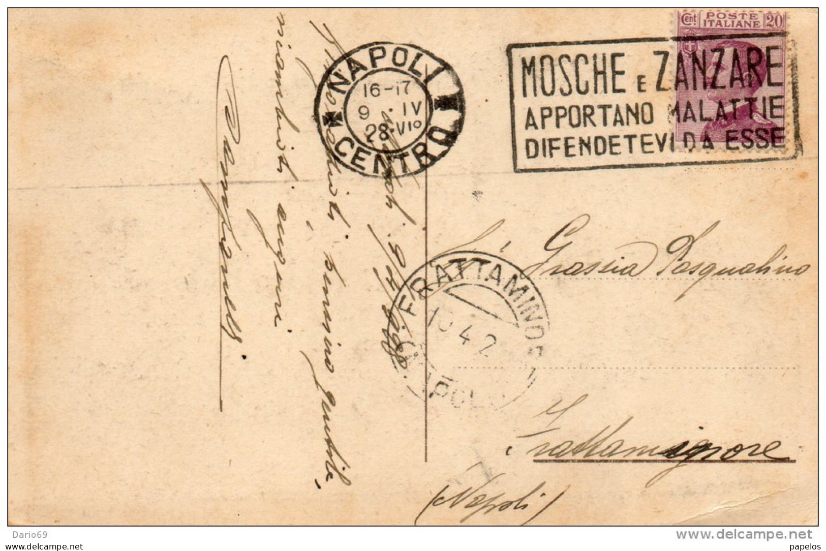 1928 CARTOLINA CON ANNULLO NAPOLI + TARGHETTA - S. ROSSORE - Pisa