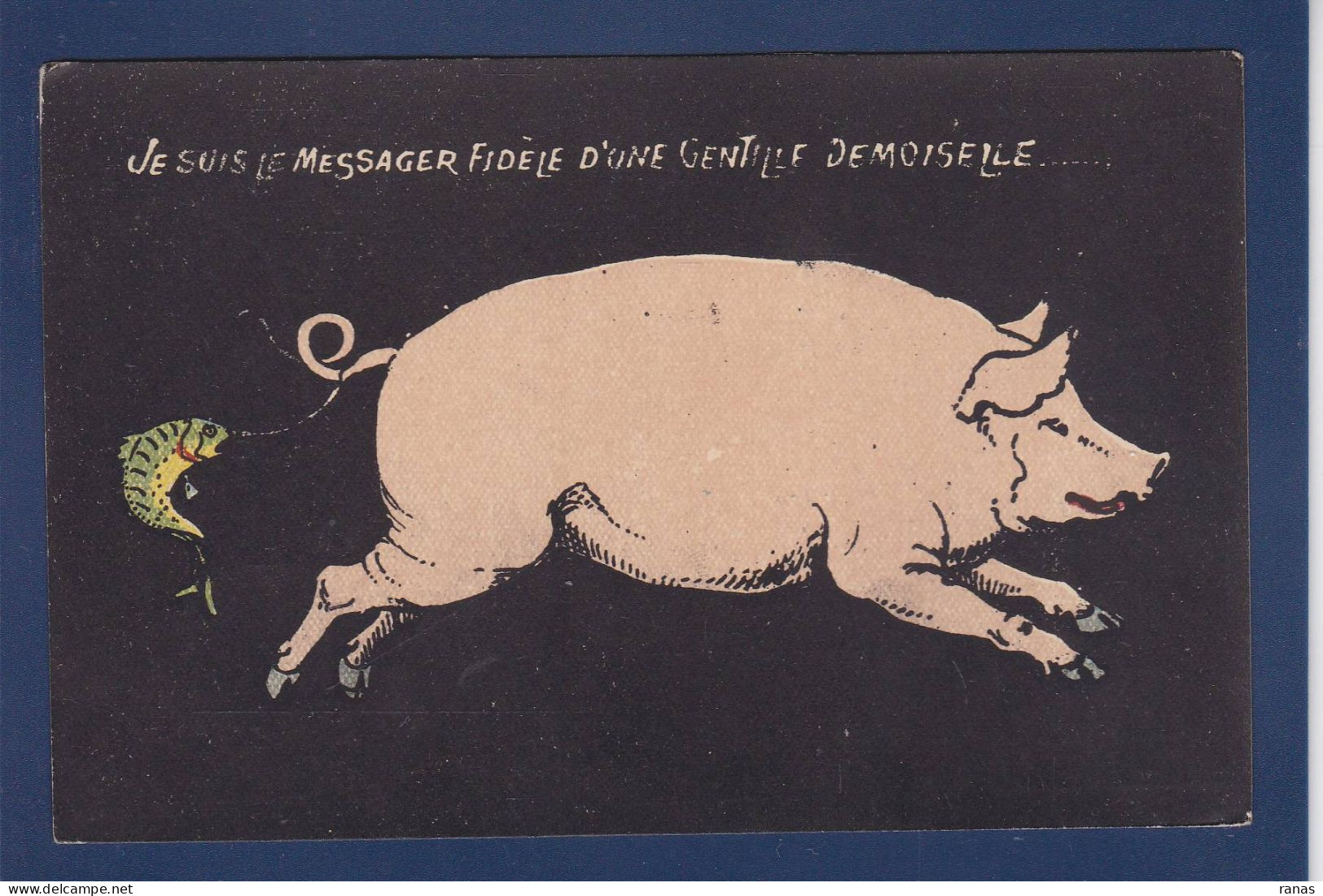 CPA Cochon Pig Position Humaine Poisson Non Circulée - Varkens