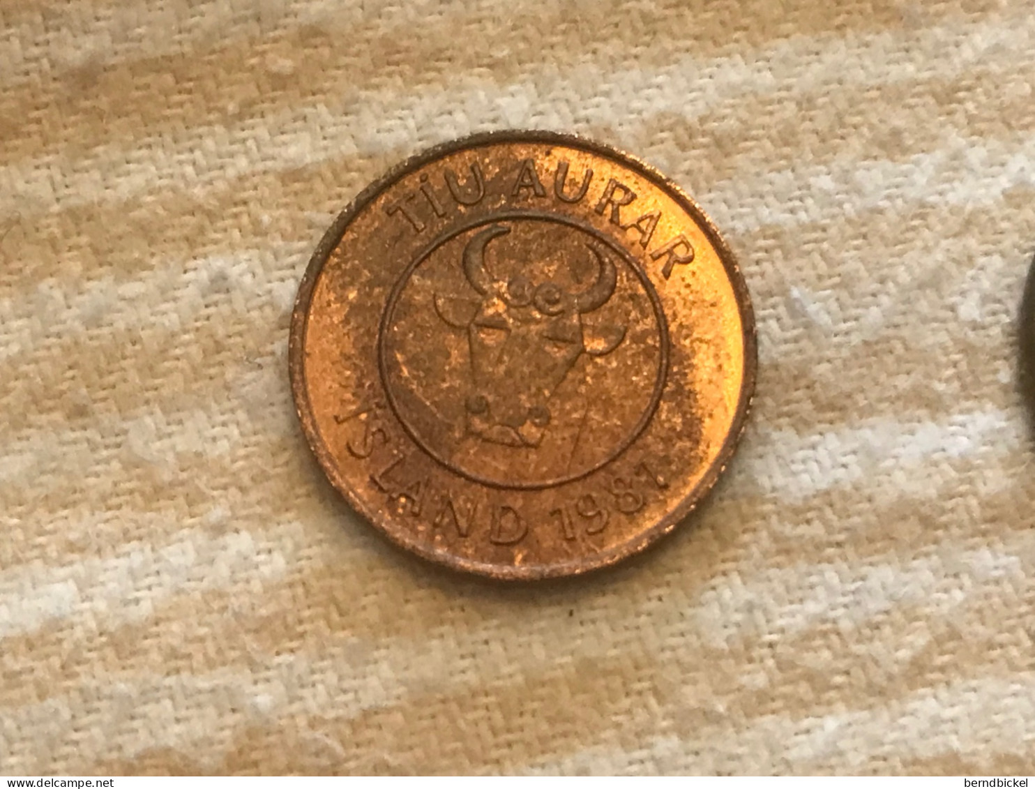 Münze Münzen Umlaufmünze Island 10 Aurar 1981 - Iceland