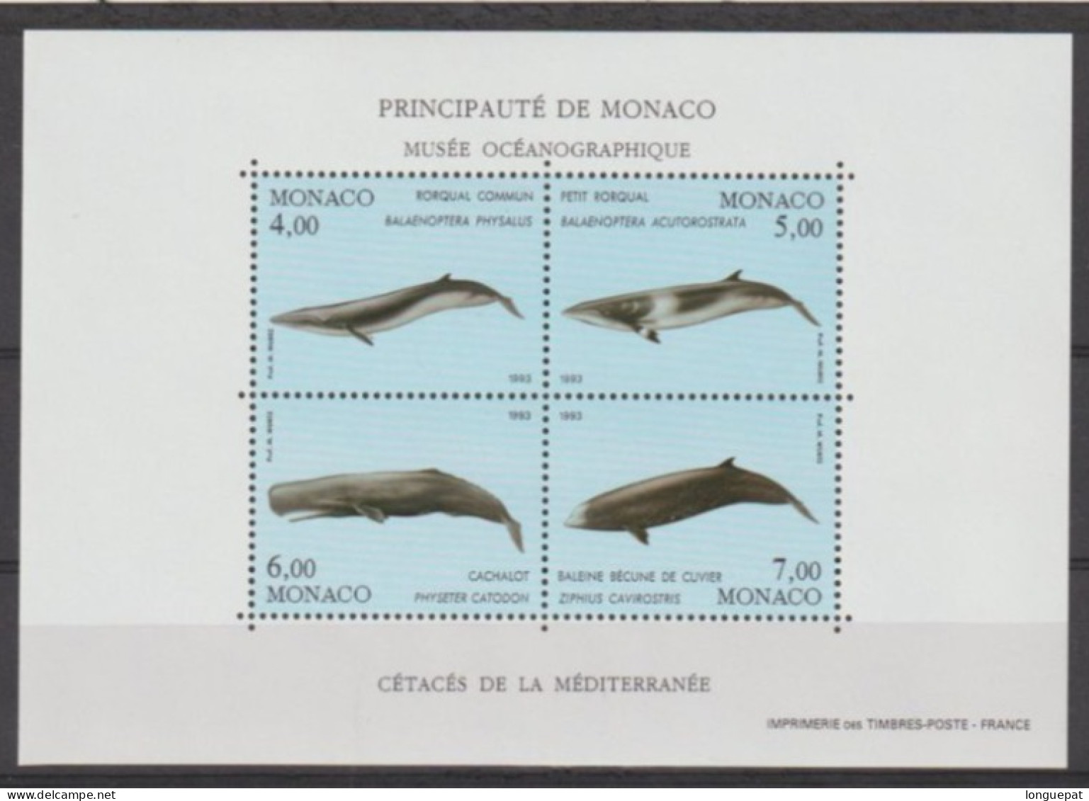 MONACO - Faune - Cétacées De La Méditerranée : Rorqual Commun, Patit Rorqual, Cachalot, Baleine Bécune De Cuvier - Wale