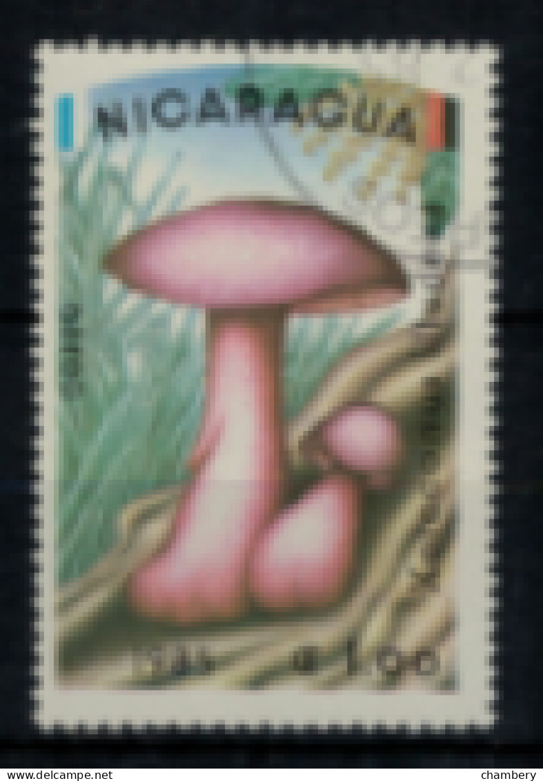 Nicaragua - PA - "Champignon : Xerocomus Illudens" - Oblitéré N° 1085 De 1985 - Nicaragua