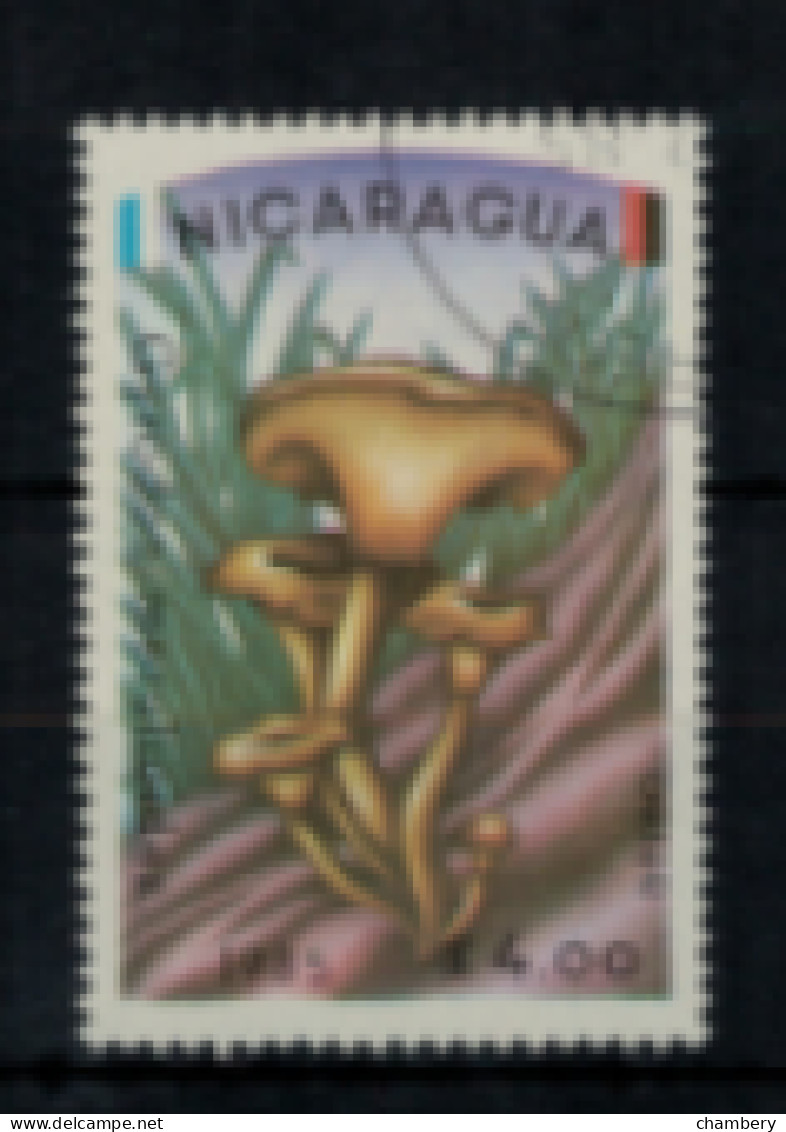 Nicaragua - PA - "Champignon : Gyrodon Merulioides" - Oblitéré N° 1086 De 1985 - Nicaragua