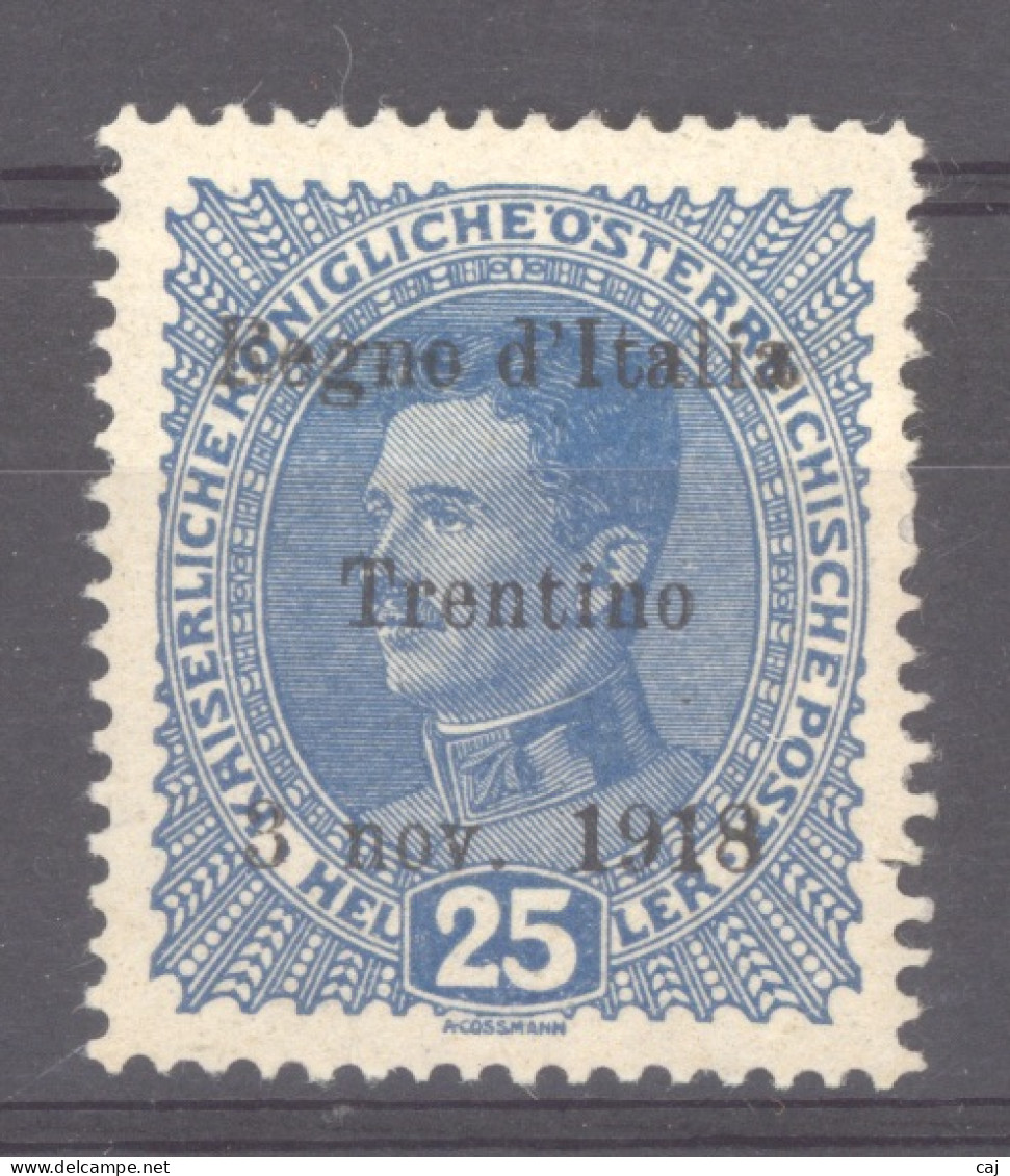 Italie  -  Trentin  :  Yv  8  * - Trentino