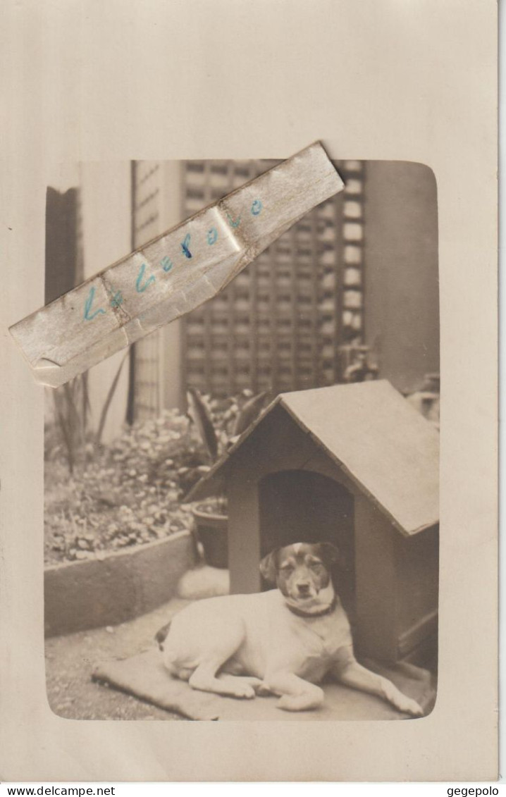 PARIS - Cité De L'Avenir Au 121 Bld De Ménilmontant - Le Chien Devant Sa Niche De La Famille LIORE ( Carte Photo ) 9/9 - Arrondissement: 11