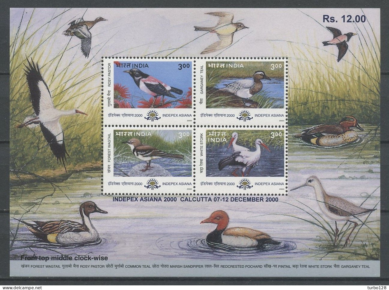 INDE 2000 Bloc N° 9 ** Neuf MNH Luxe Flore Faune Oiseaux Birds Roselin Sarcelle Cigogne Expo Indepex Asiana à Calcutta - Blocks & Kleinbögen