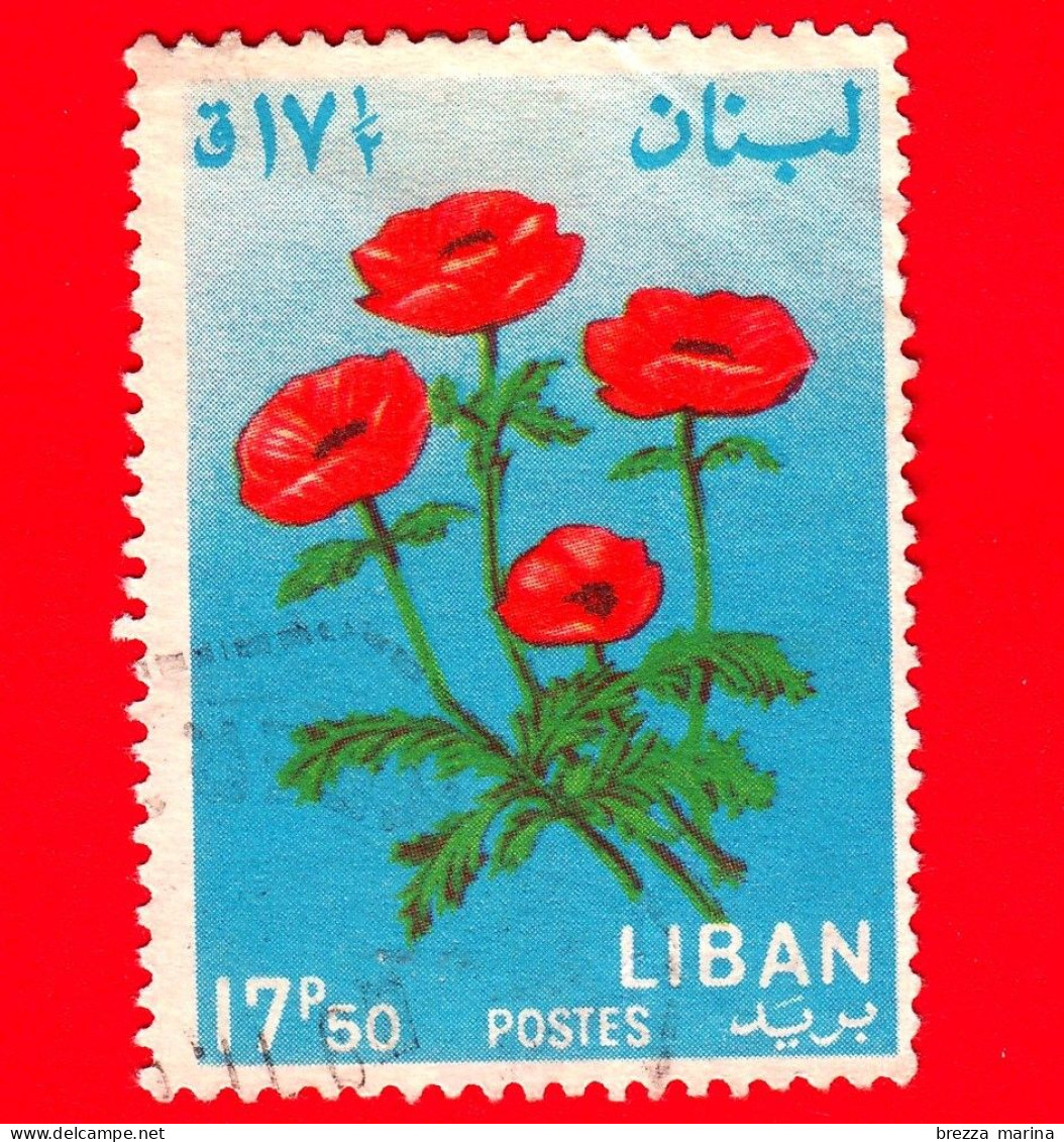 LIBANO - Usato - 1964 - Fiori - Piante - Anemone Sp. - 17.50 - P. Aerea - Lebanon