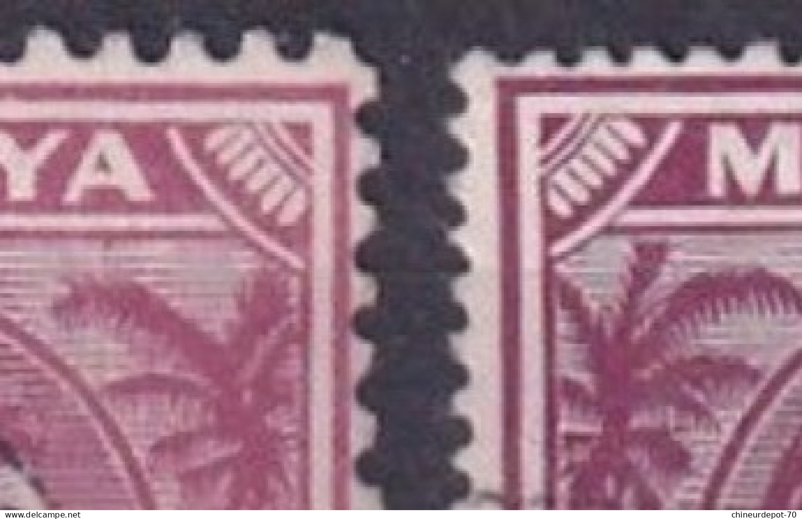 Singapour Singapore Malaya Dents !!! - Singapur (...-1959)