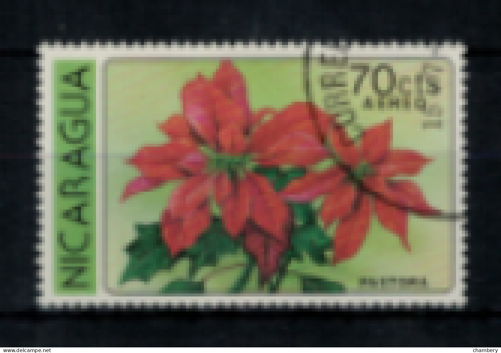 Nicaragua - PA - "Fleurs Du Nicaragua : Poinsetta" - Oblitéré N° 929 De 1979 - Nicaragua