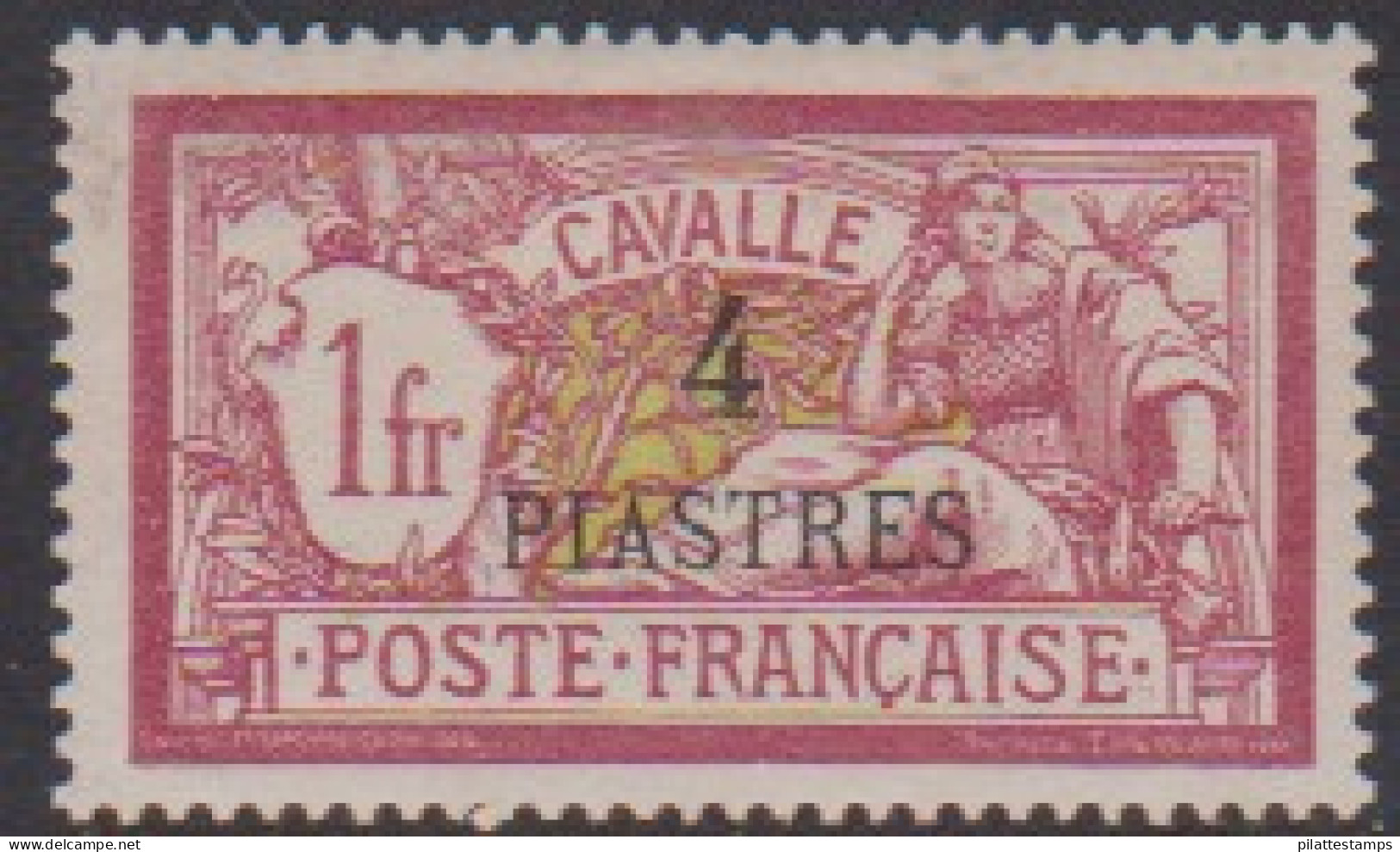 Cavalle 15** - Autres & Non Classés