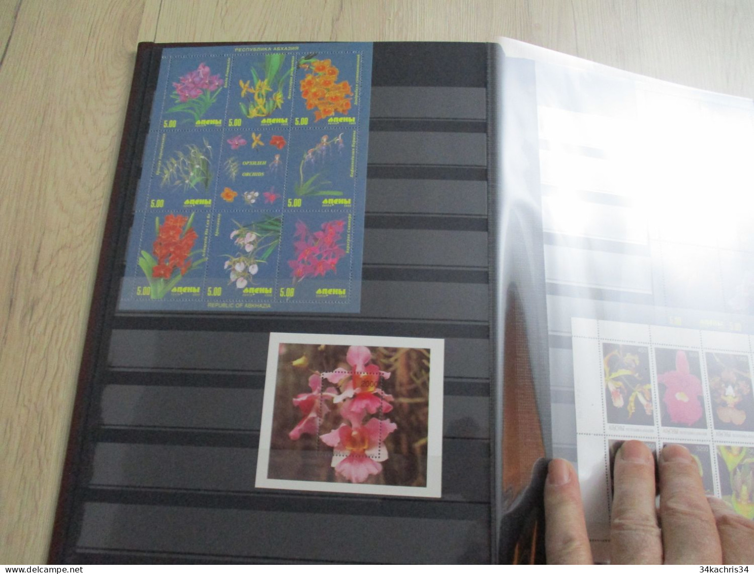 Album Collection + De 700 TP  Et + De 50 Blocs Flowers Fleurs Dont Orchidées Orchids Neufs Et Oblitérés Doubles Tel Quel - Sonstige & Ohne Zuordnung