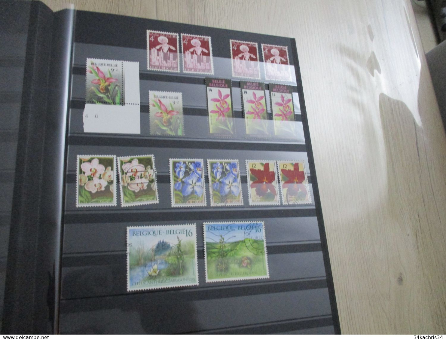 Album collection + de 700 TP  et + de 50 blocs flowers fleurs dont orchidées orchids neufs et oblitérés doubles tel quel