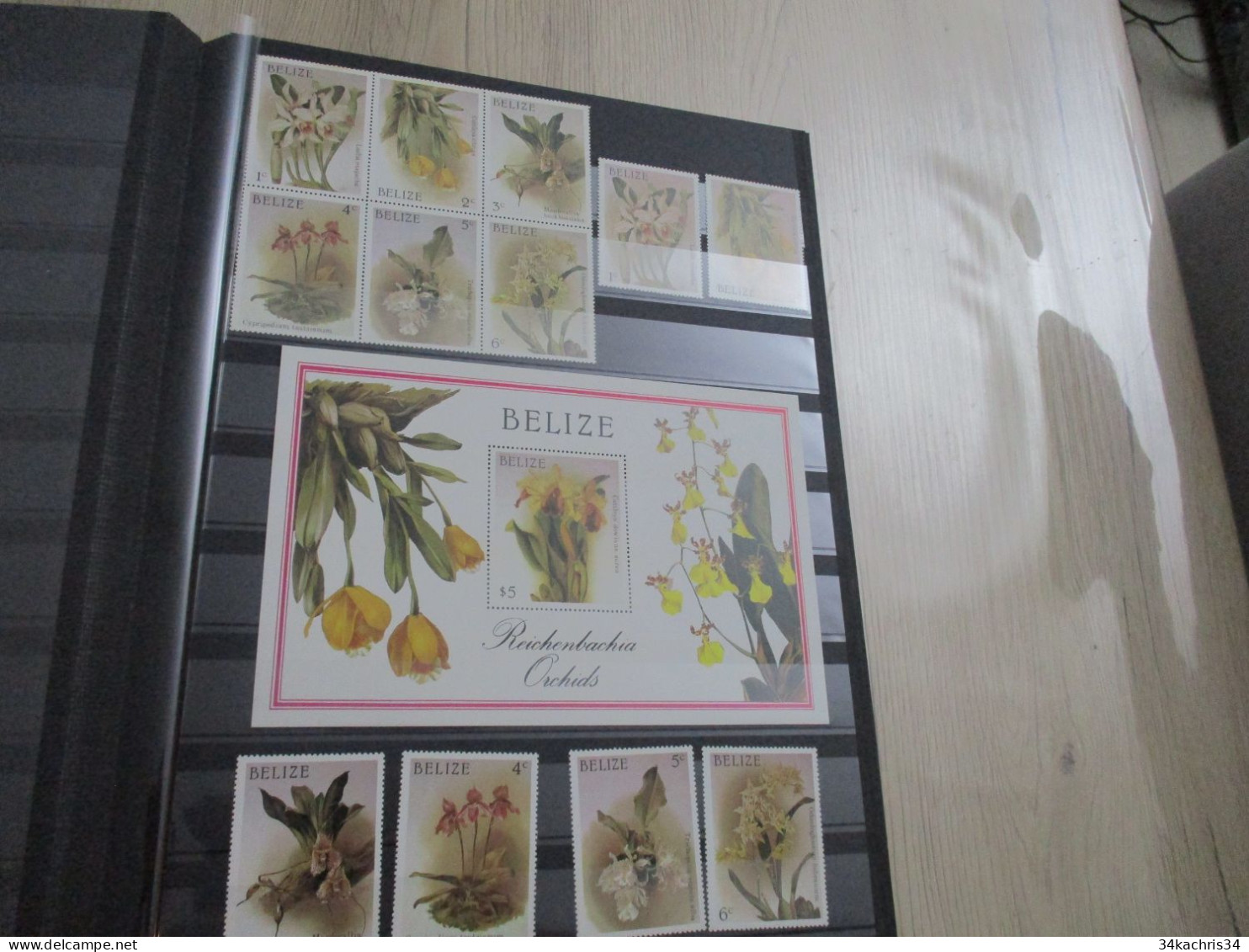 Album collection + de 700 TP  et + de 50 blocs flowers fleurs dont orchidées orchids neufs et oblitérés doubles tel quel