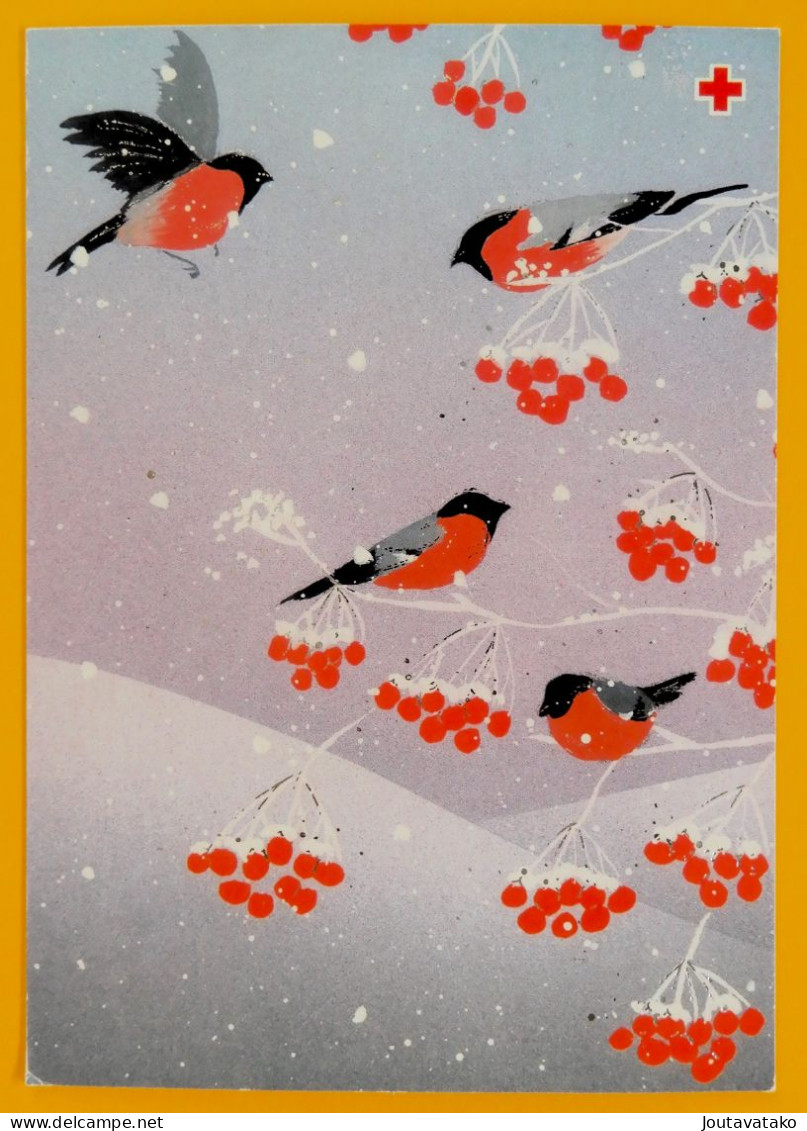 Bullfinches On Rowan Branches. Christmas Postcard - Red Cross Finland Postal Stationery 1991 - Used - Entiers Postaux