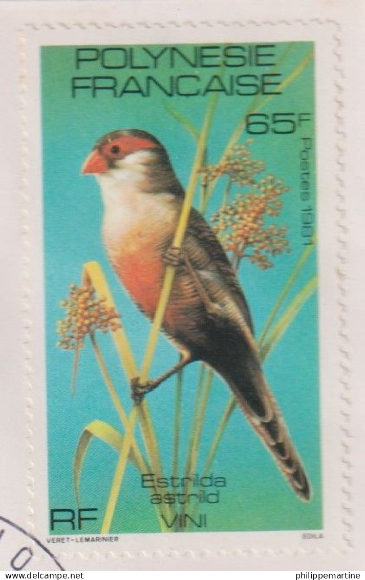 Polynésie Française 1981 - YT 170 (o) Sur Fragment - Used Stamps