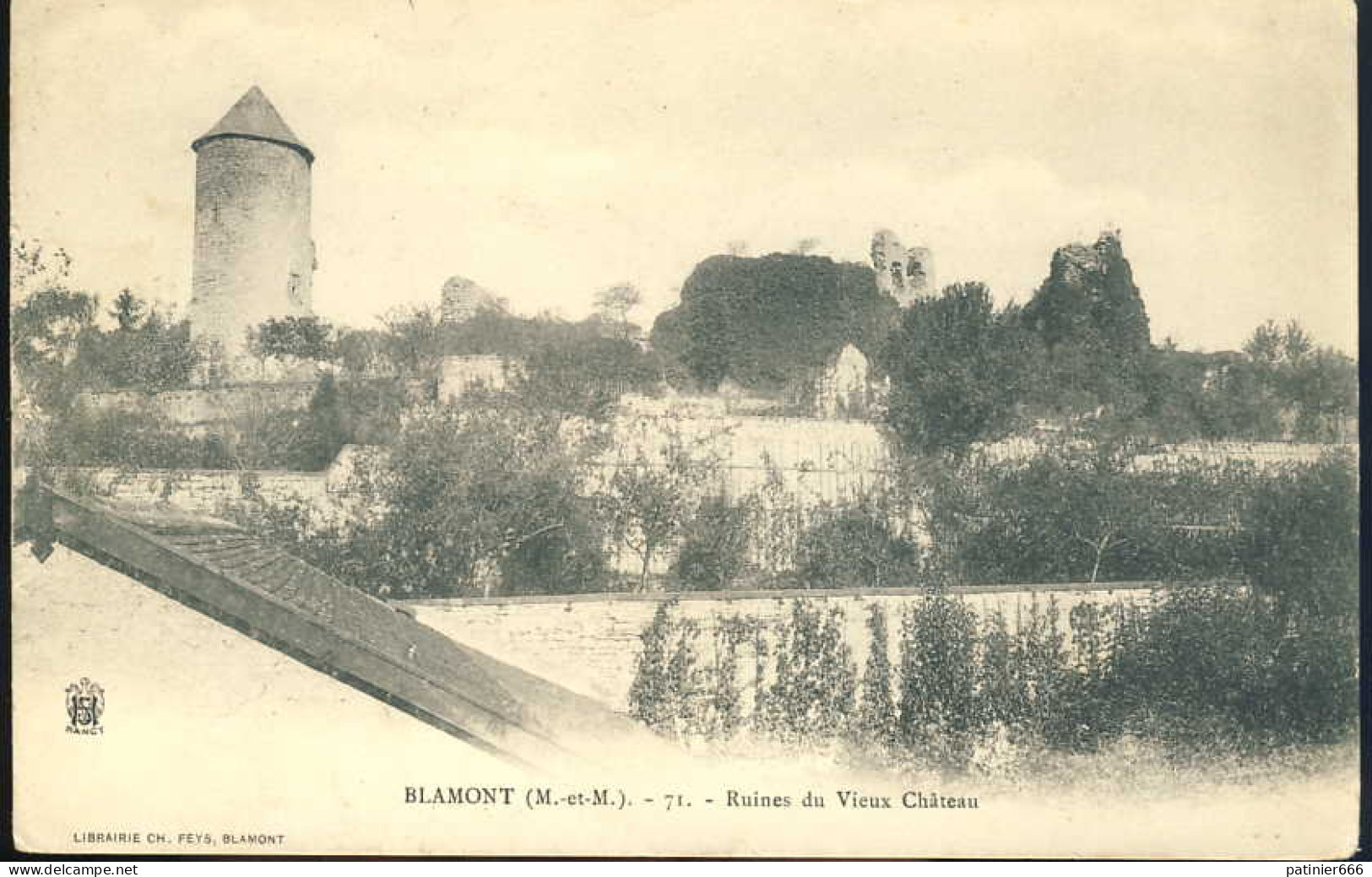Blamont Ruines Du Vieux Chateau - Blamont