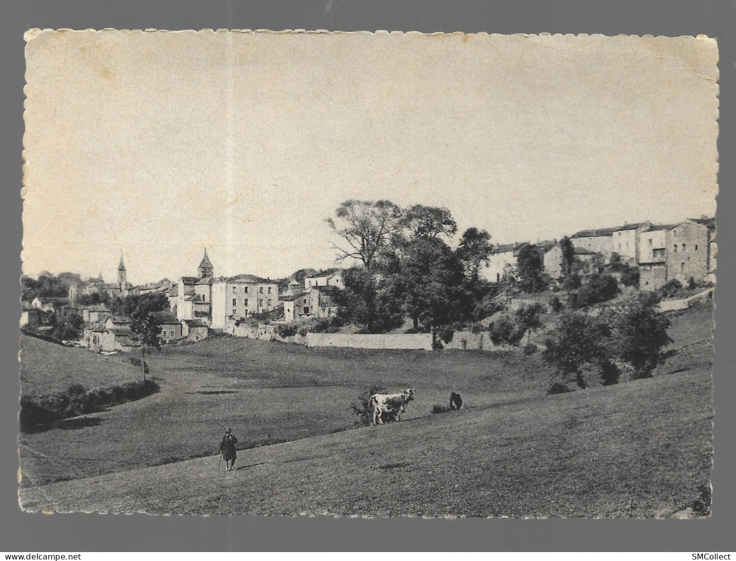 Montfaucon Du Velay, Vue Panoramique Sud Est (A20p37) - Montfaucon En Velay