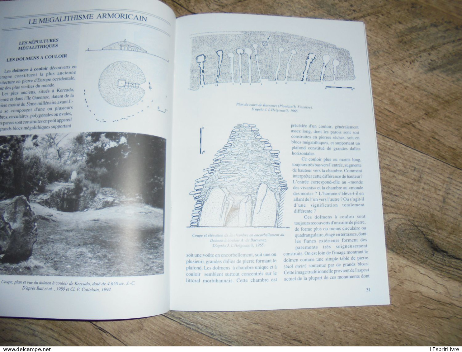 DOLMENS ET MENHIRS Secrets des mégalithes Région Carnac Cornely CEDARC Riskine A E Monuments Mégalithique Archéologie