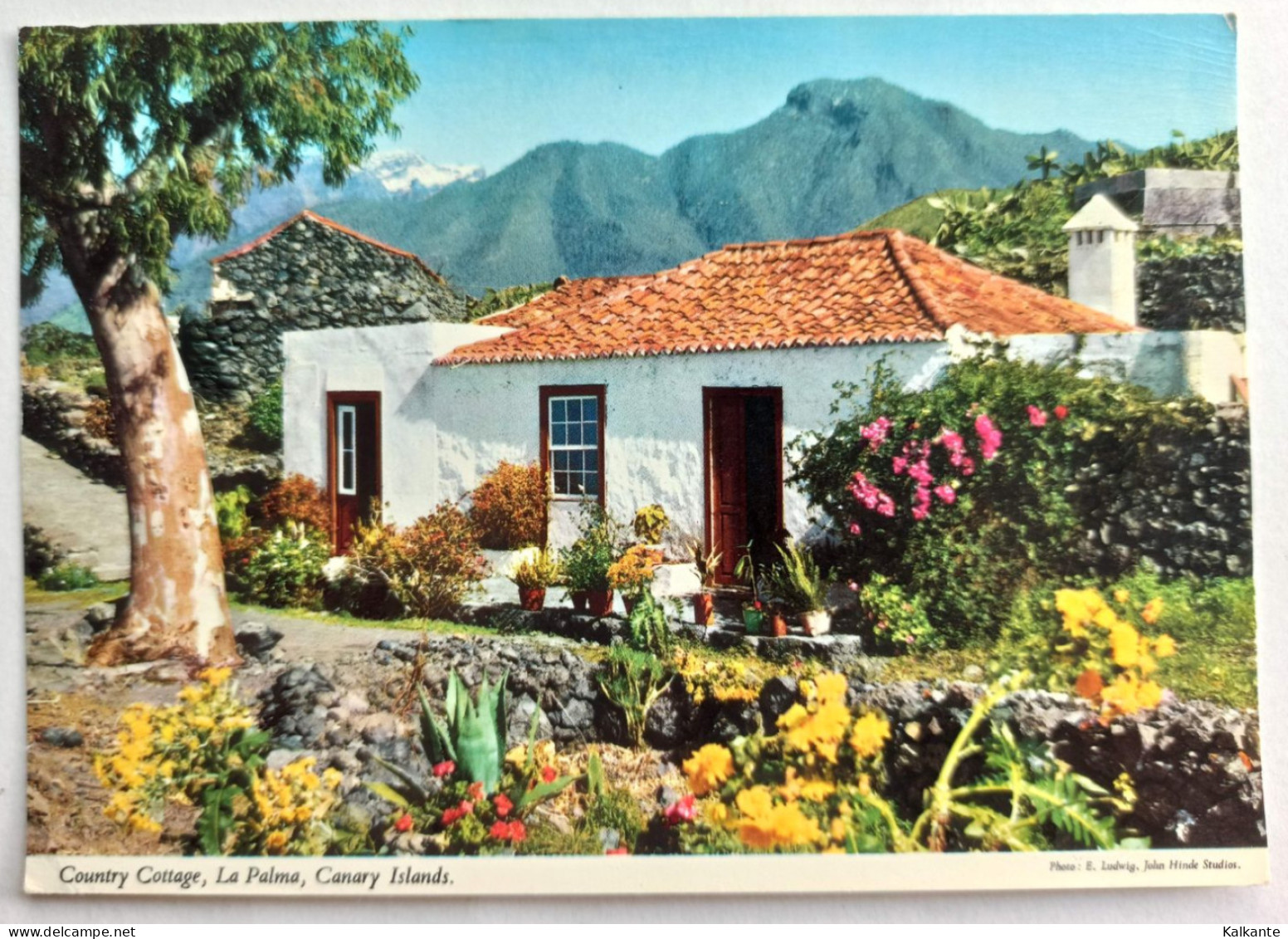 [ISOLE CANARIAS] - LA PALMA - Country Cottage - La Palma