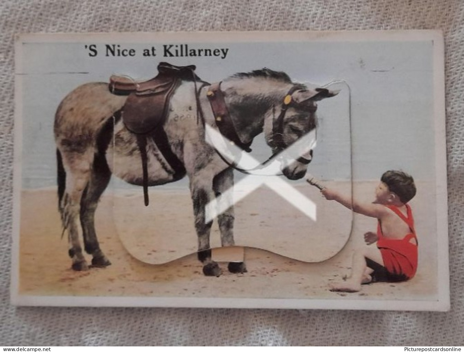 S NICE AT KILLARNEY OLD PULL OUT VIEWS NOVELTY POSTCARD COUNTY KERRY IRELAND DONKEY AND CHILD - Kerry